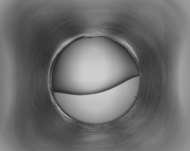X0000112891485200908211020