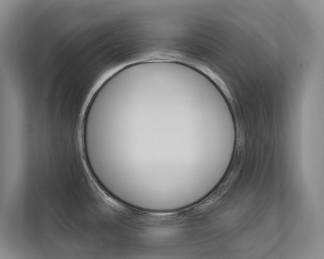 X0000112891486200908211020