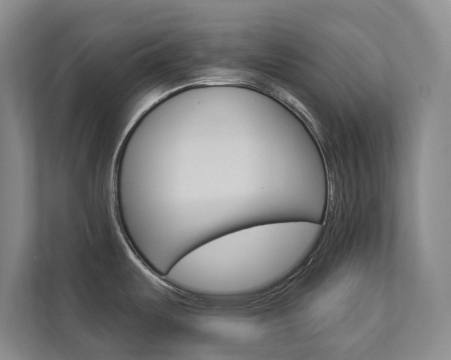 X0000112891487200908211020