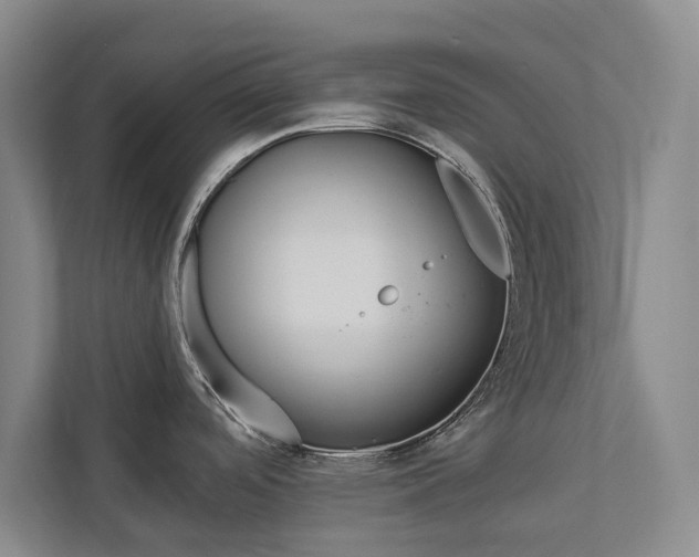 X0000112891488200908211020