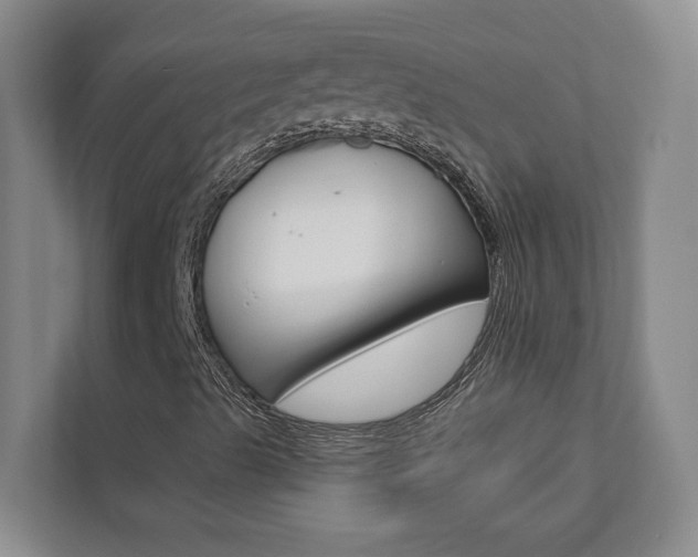 X0000112891489200908211019