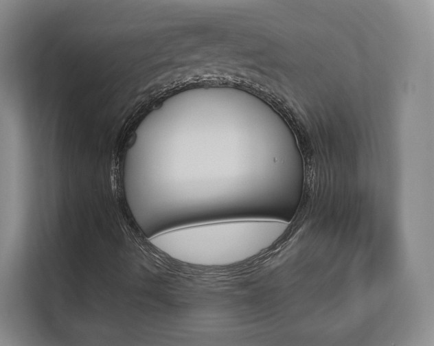 X0000112891490200908211019