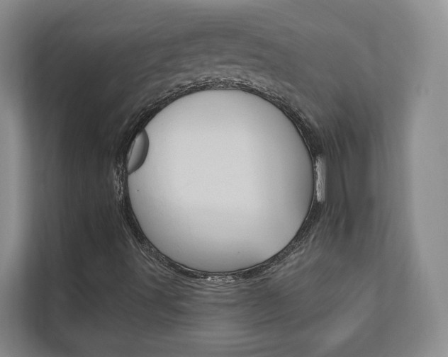 X0000112891491200908211019