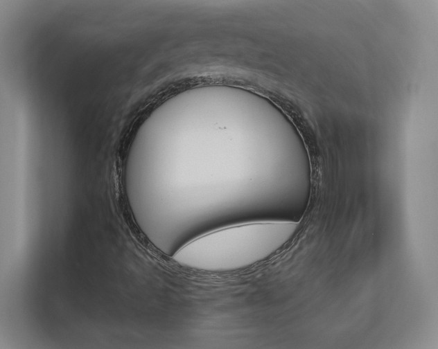 X0000112891493200908211019