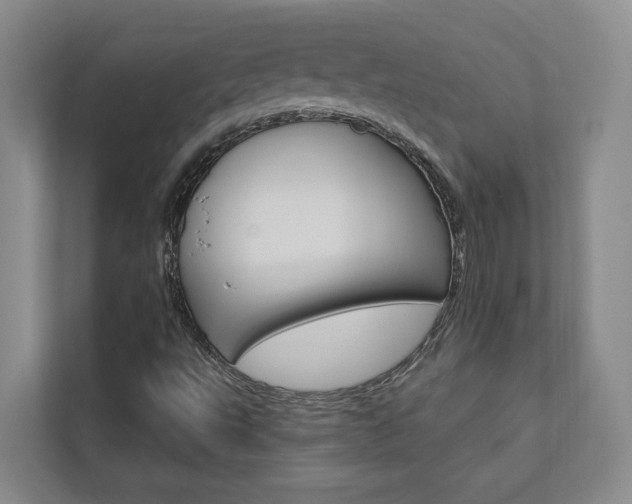 X0000112891495200908211019