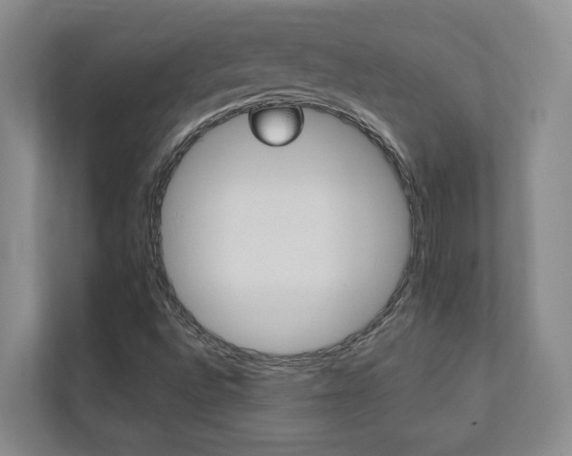 X0000112891496200908211019