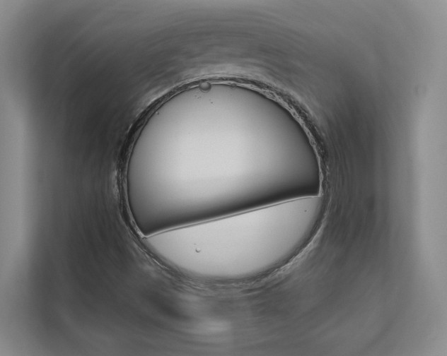 X0000112891497200908211020