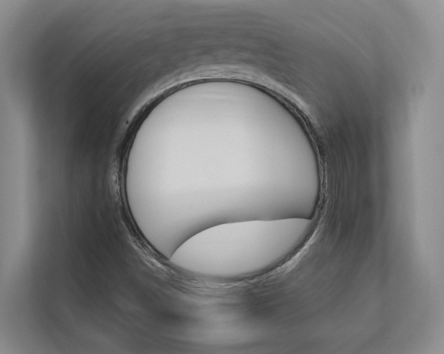 X0000112891498200908211020