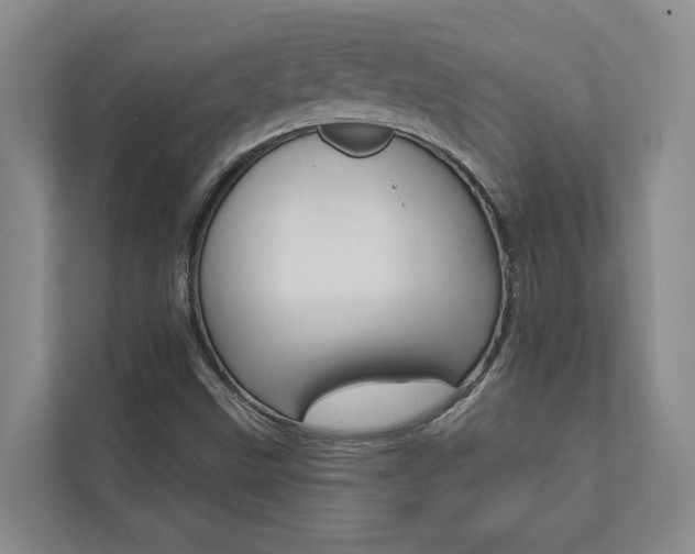 X0000112891499200908211020