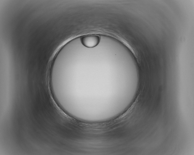 X0000112891500200908211020