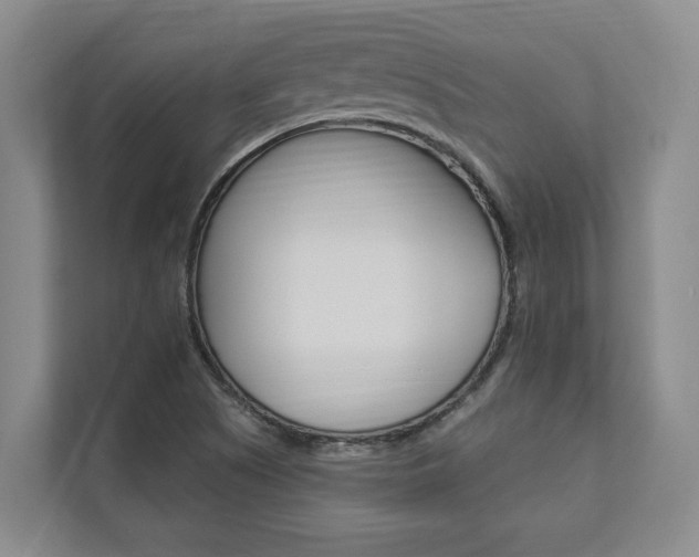 X0000112891505200908211020