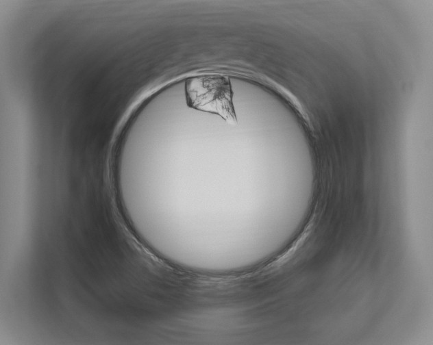 X0000112891506200908211020