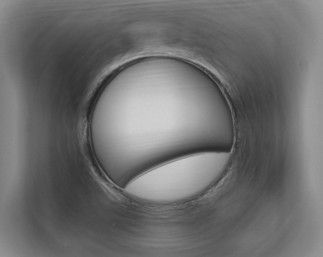 X0000112891507200908211020