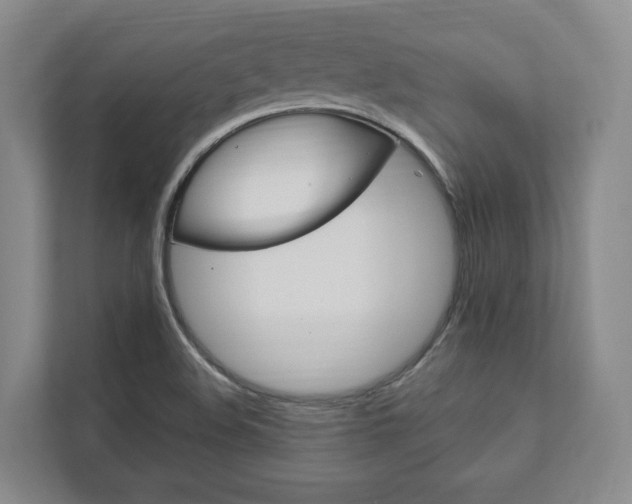 X0000112891508200908211020