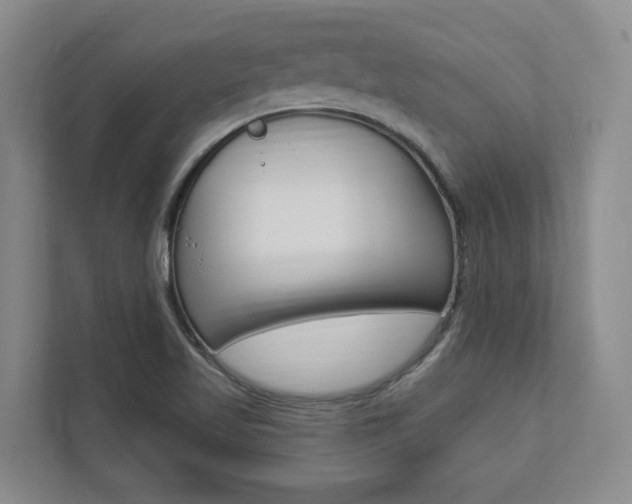 X0000112891509200908211020