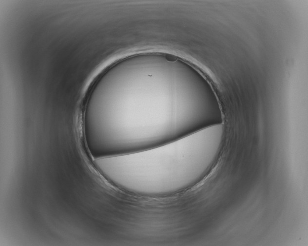 X0000112891510200908211020