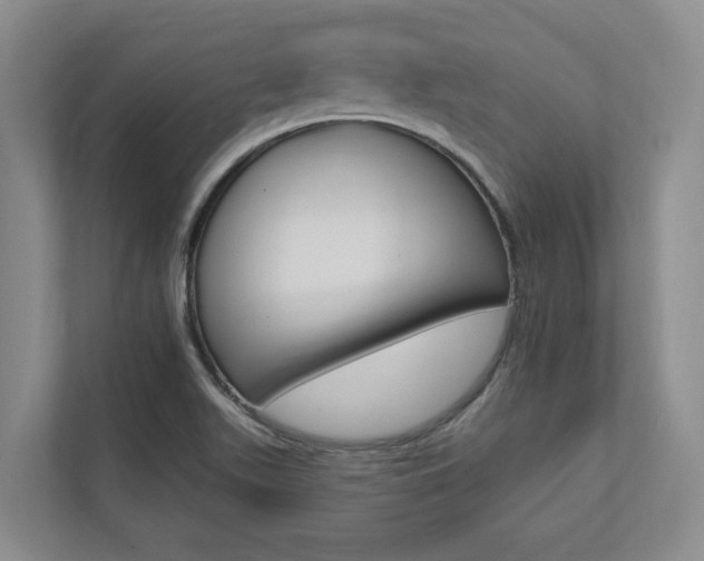 X0000112891511200908211020