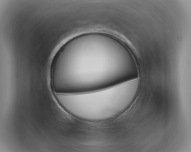 X0000112891512200908211020