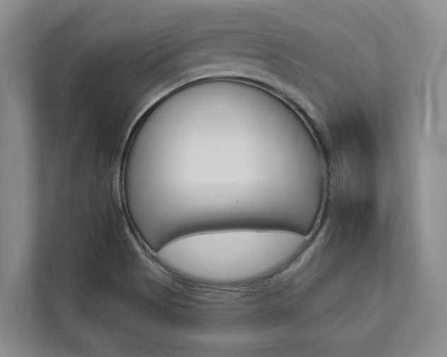 X0000112891513200908211020