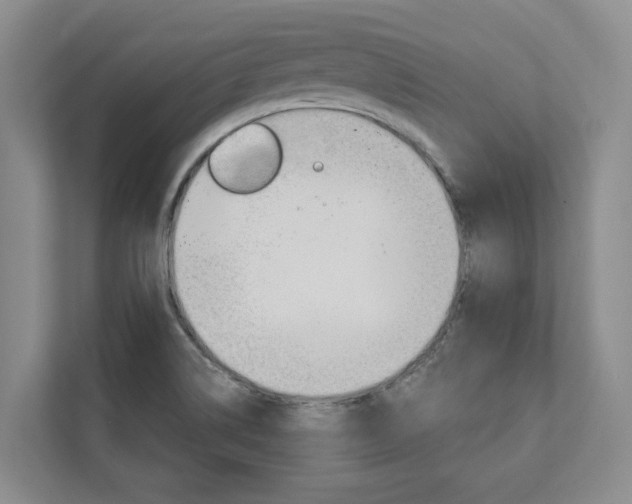 X0000112891514200908211020