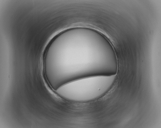 X0000112891515200908211020