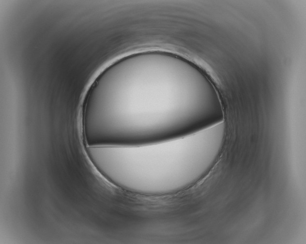 X0000112891516200908211020