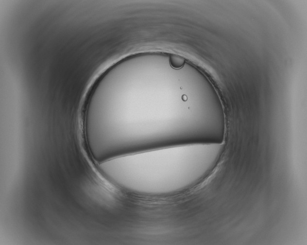 X0000112891517200908211020