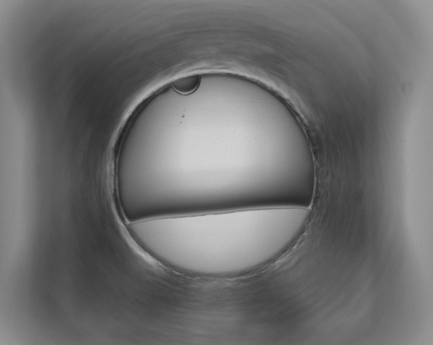 X0000112891519200908211020