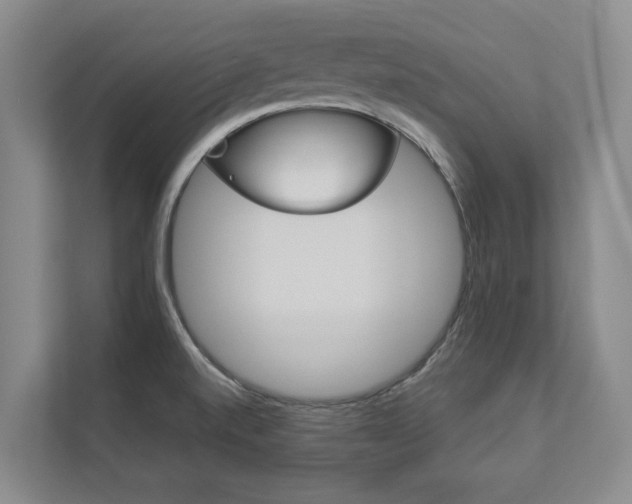 X0000112891520200908211020