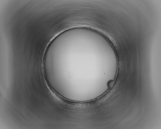 X0000112891521200908211020