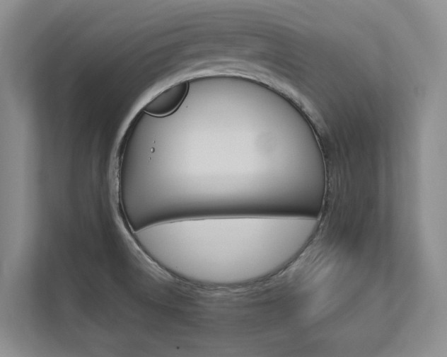 X0000112891522200908211020