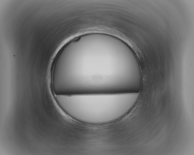 X0000112891523200908211020