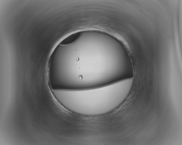 X0000112891524200908211020