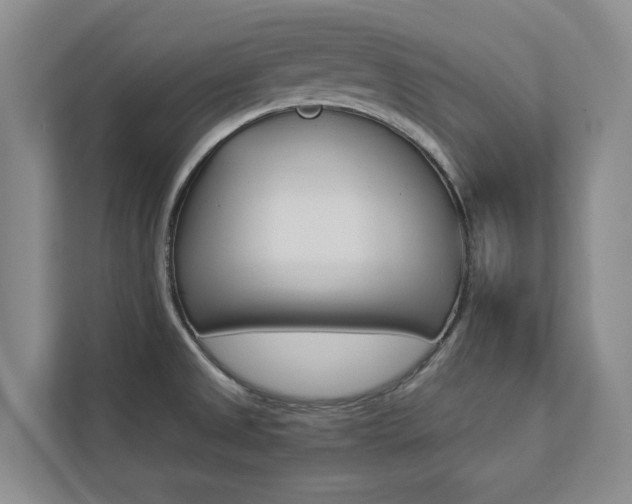 X0000112891525200908211020