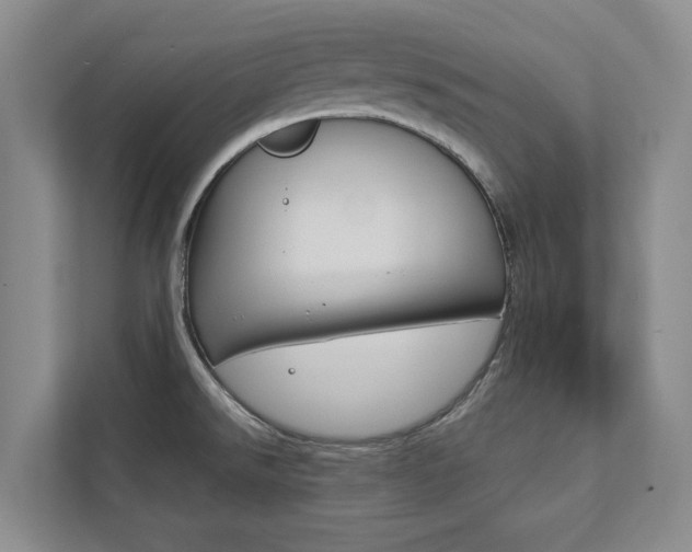 X0000112891526200908211020