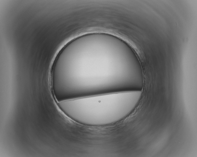 X0000112891527200908211020