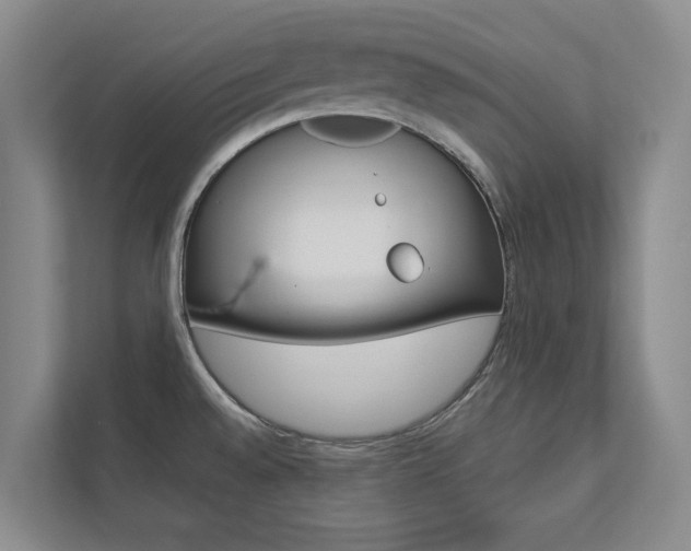 X0000112891528200908211020
