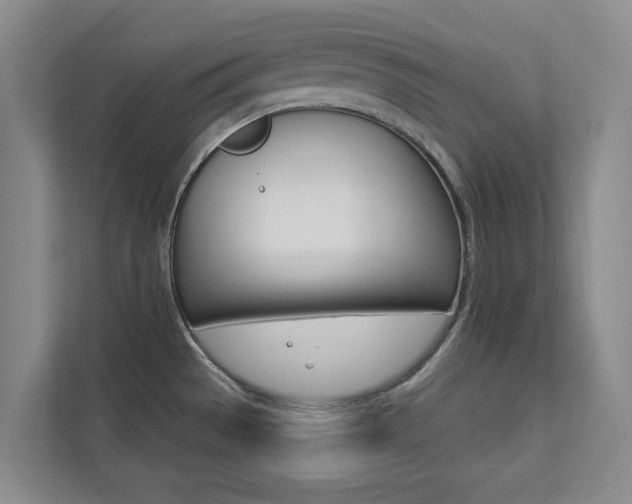 X0000112891529200908211020