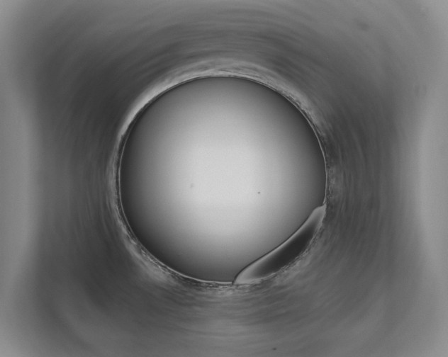 X0000112891530200908211020