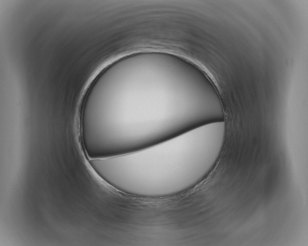 X0000112891531200908211020
