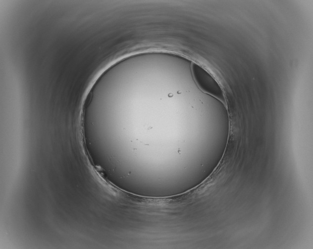 X0000112891532200908211020