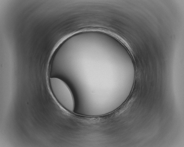 X0000112891533200908211020