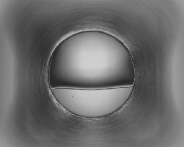 X0000112891534200908211020