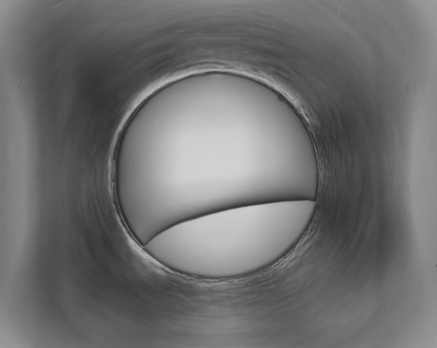 X0000112891535200908211020