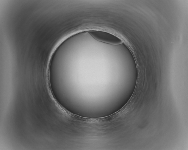 X0000112891536200908211020
