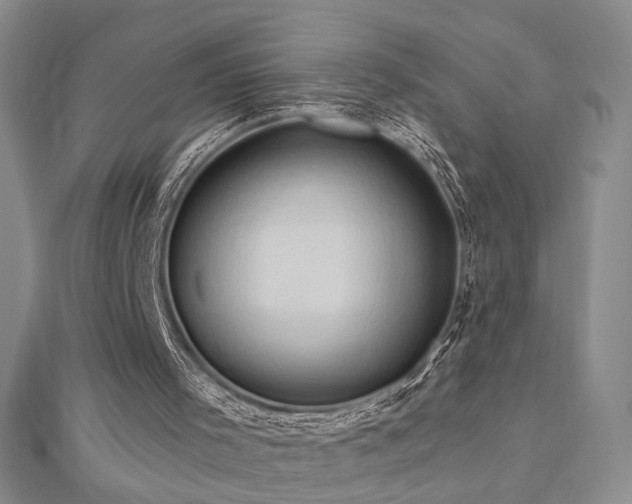 X0000112890001200908211504