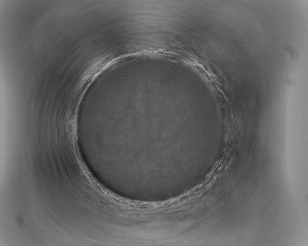 X0000112890002200908211504