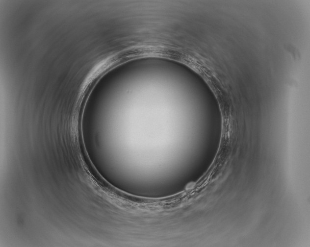 X0000112890004200908211504