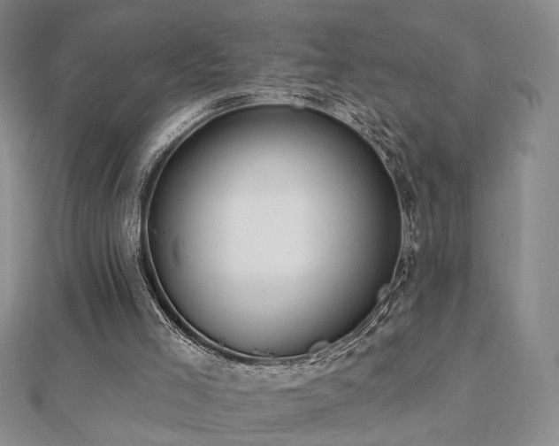 X0000112890005200908211504