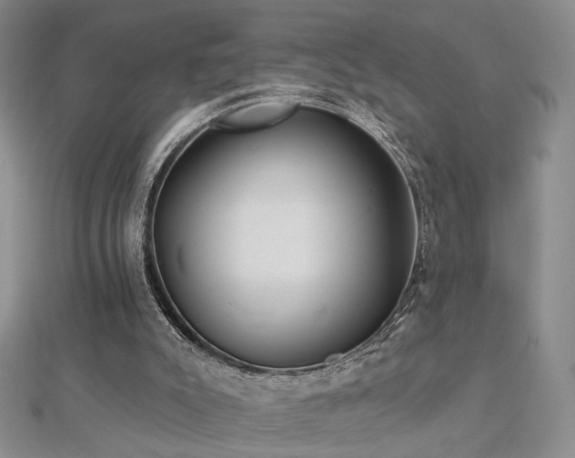 X0000112890007200908211504